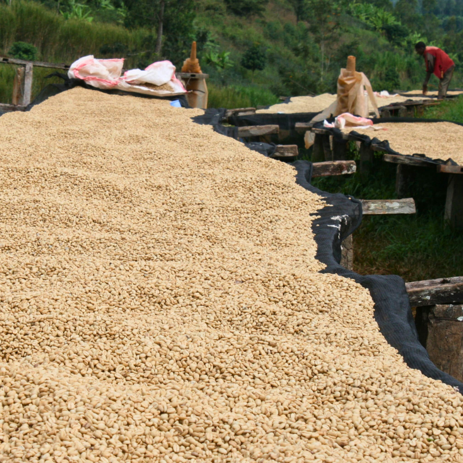 Burundi Kaffee Single Origin