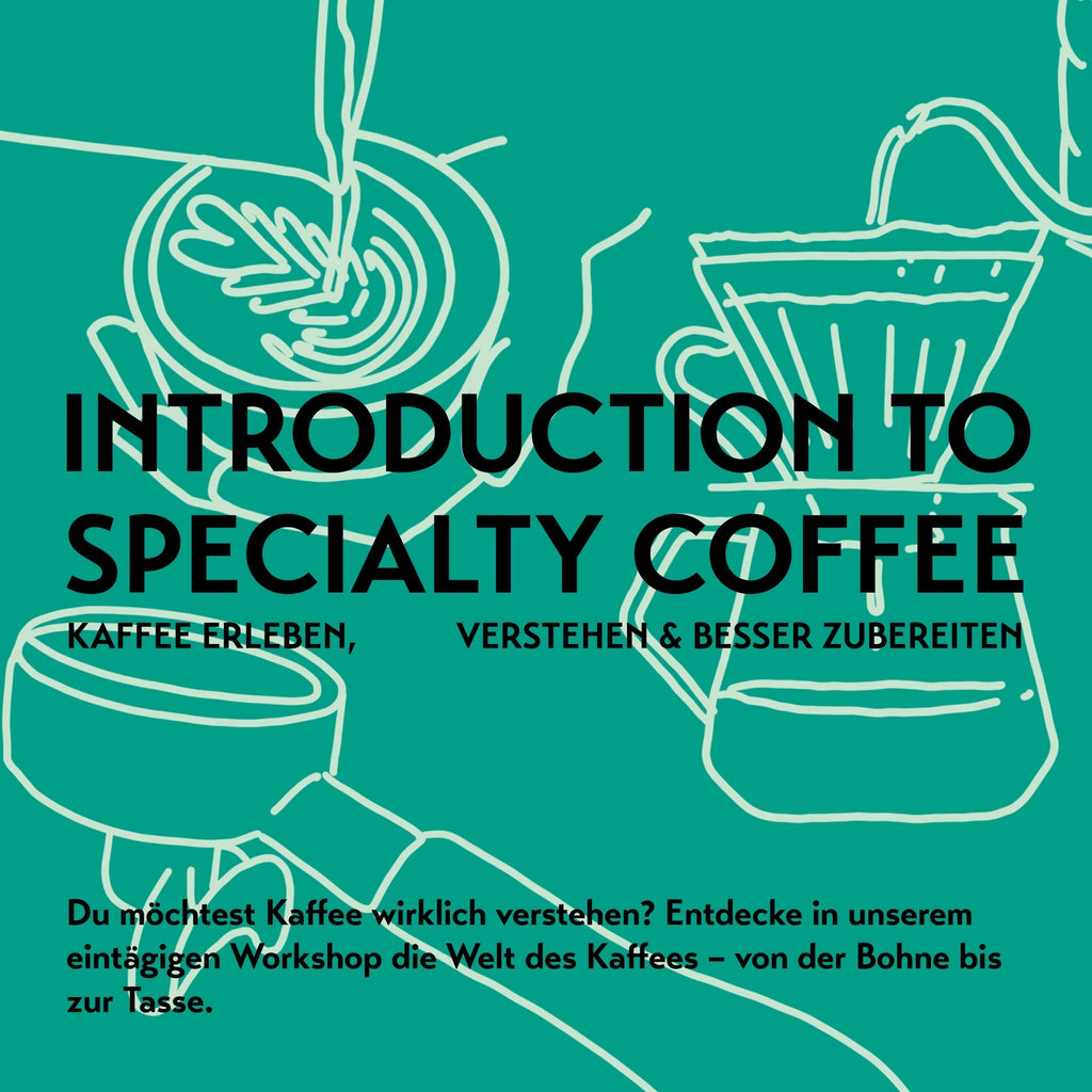 Kaffeekurs: Introduction to Specialty Coffee - Kaffee erleben, verstehen und besser zubereiten