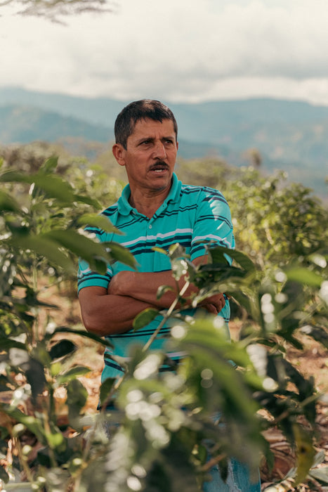 Villa Betulia Espresso - Kaffeekirsche Roastery